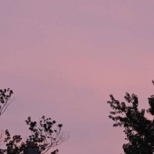 小受受扒开屁股挨🌿网站
