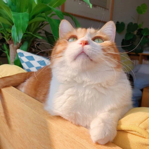 小受受扒开屁股挨🌿网站
