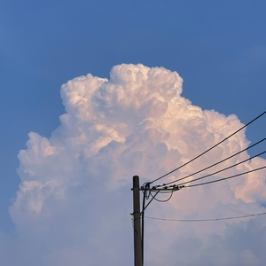 小受受扒开屁股挨🌿网站
